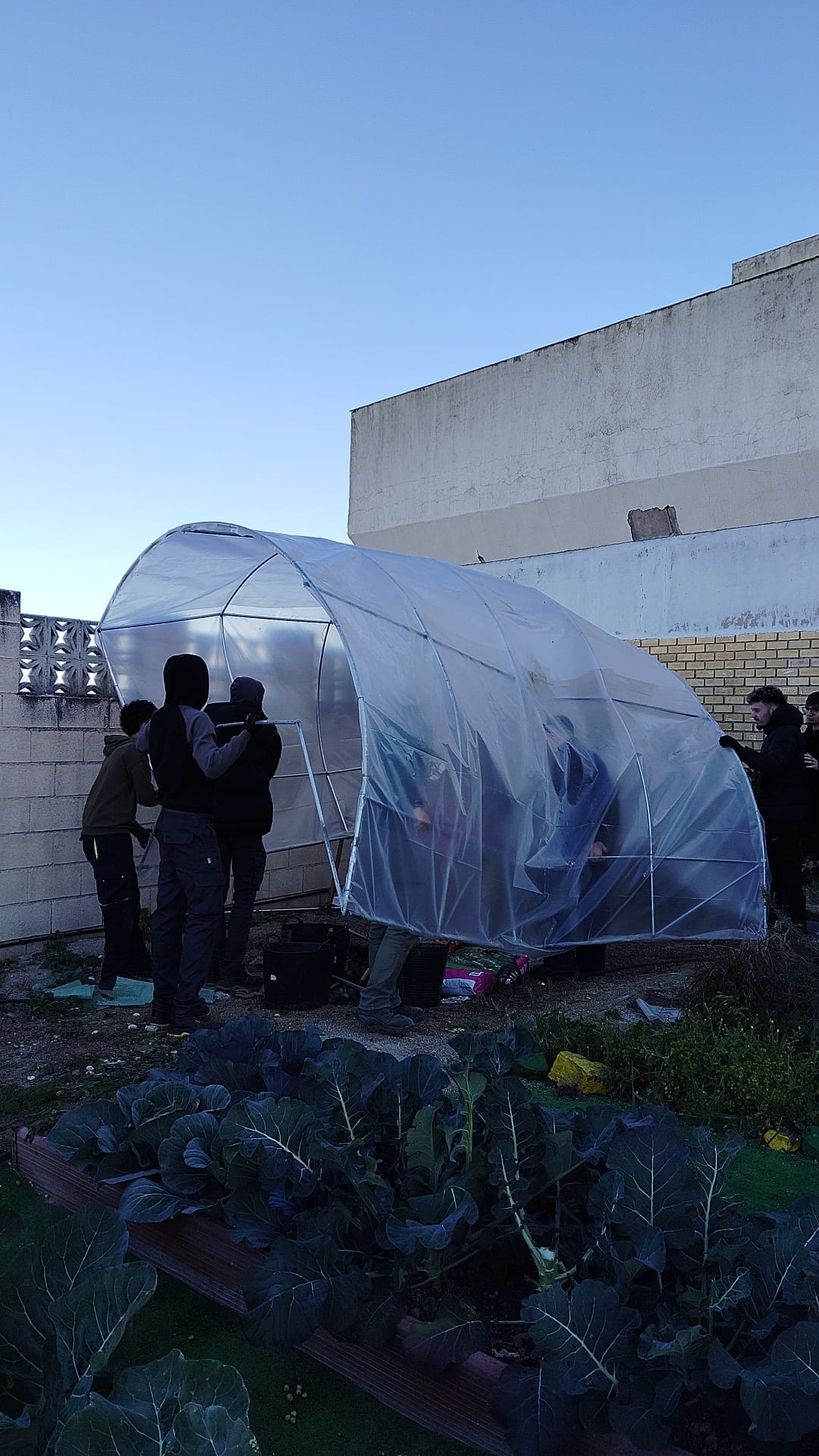 AULAS VERDES ABIERTAS. ALDEA. INVERNADERO