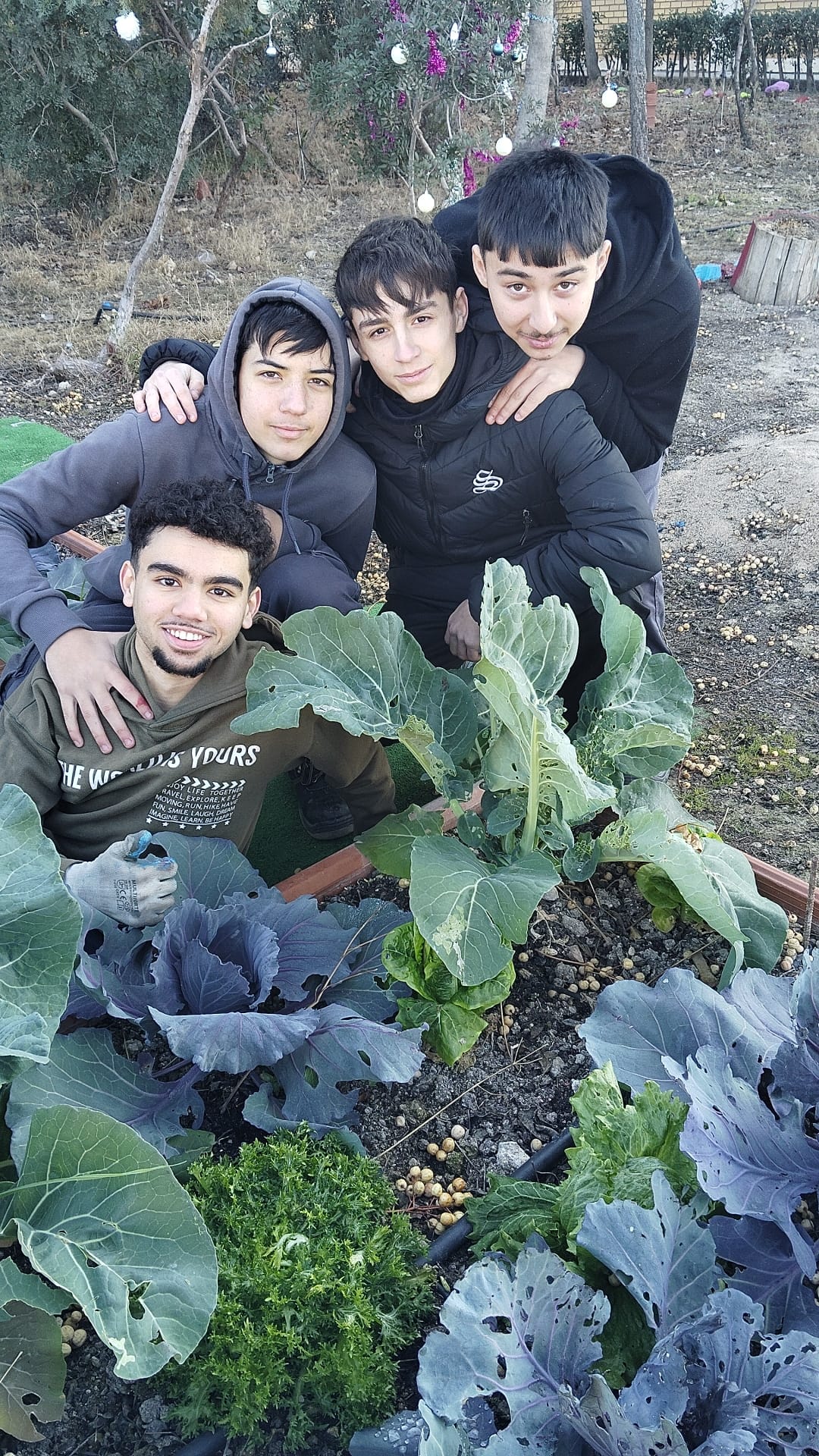 ALDEA HUERTO ESCOLAR. AULAS VERDES ABIERTAS