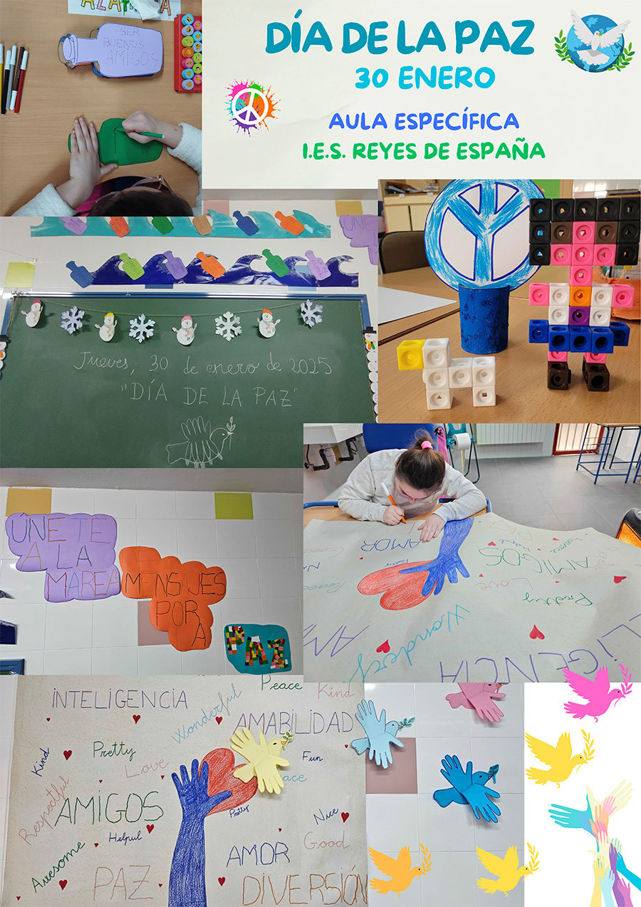 Vuela hacia la Paz ☮️