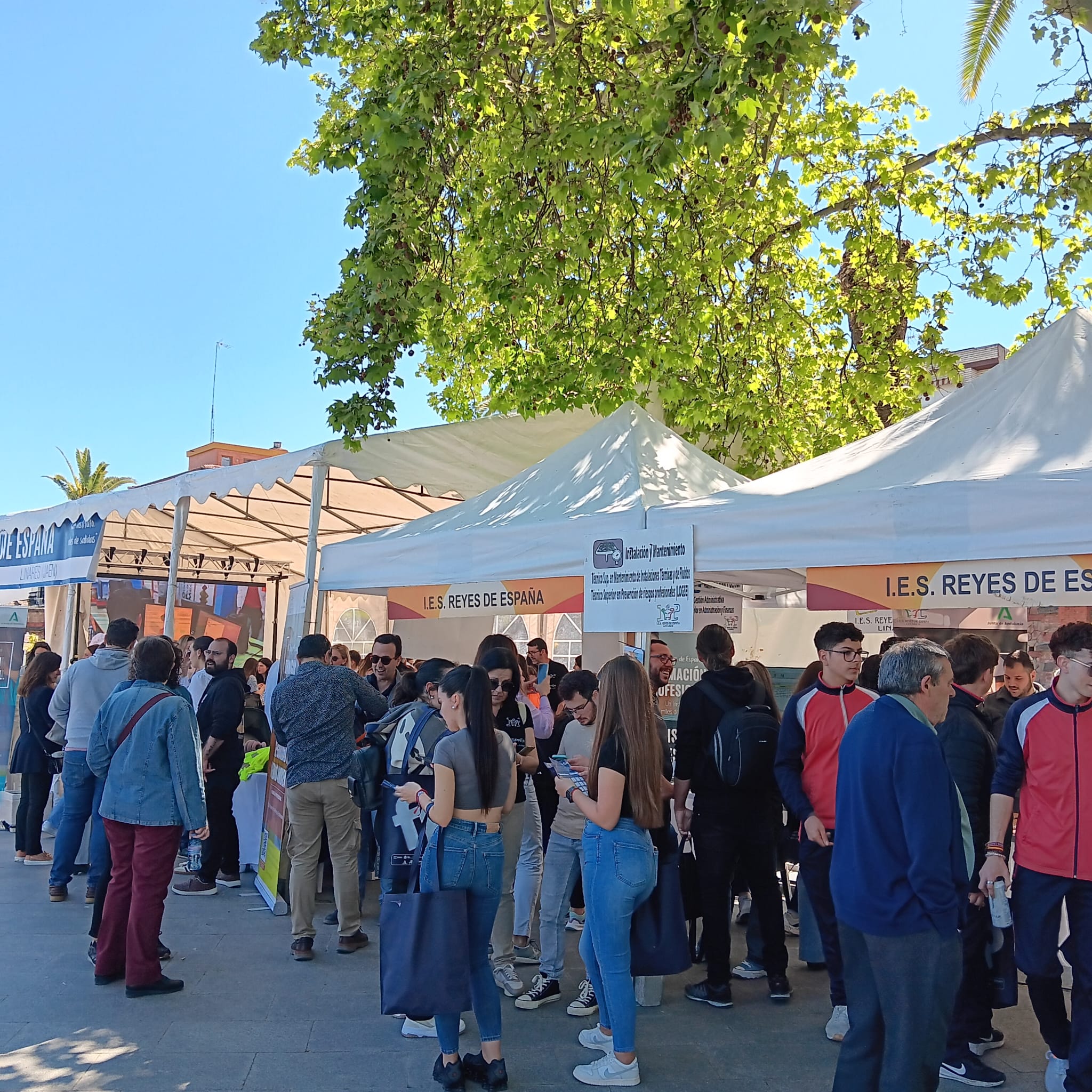 II FERIA PROVINCIAL DE FP